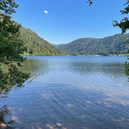 Le Chalet Blanc De Gerardmer Avec Spa מראה חיצוני תמונה
