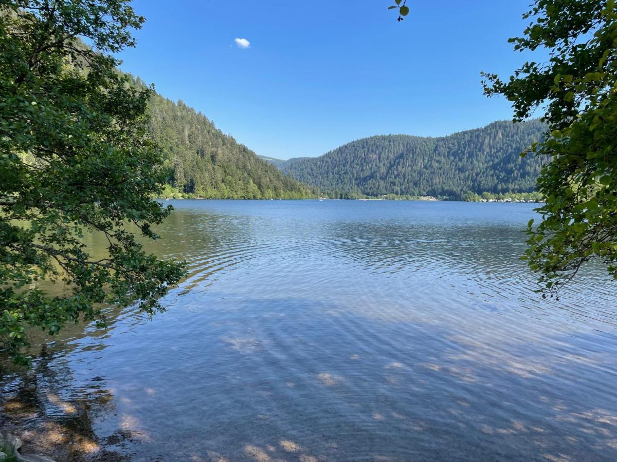 Le Chalet Blanc De Gerardmer Avec Spa מראה חיצוני תמונה